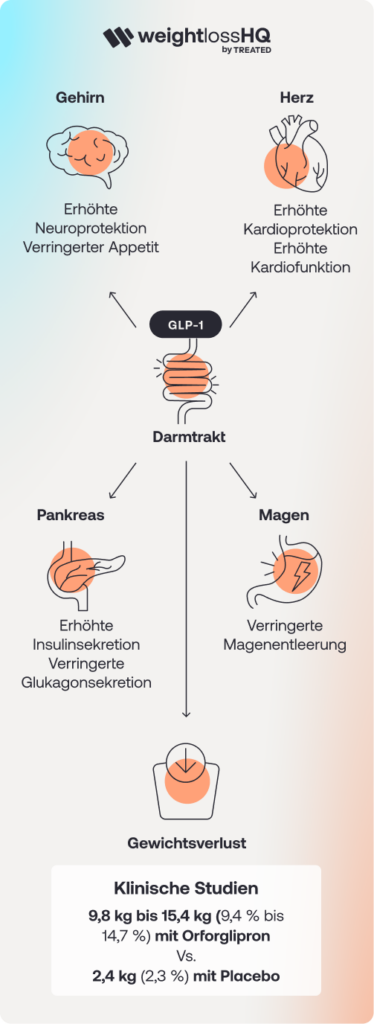 Orforglipron health guide